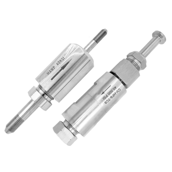 Вихідний і вхідний зворотний клапан високого тиску High Pressure Outlet and Inlet Check Valve фото